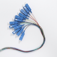 Pigtail Fibre Optique Monomode Simplex SC, UPC/APC, 0,9 mm, 12 Fibres, Non gainé, 2 m
