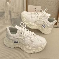 Chaussures pour femmes de haute qualité, nouveau style printemps-automne 2025, très populaires sur Instagram, chaussures de papa, semelle épaisse augmentant la taille
