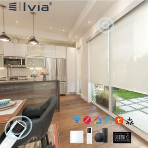 Electric Built-In Blackout <strong>Light</strong> Filtering Tuya Signee Zigbee Smart Roller Blinds Commercial Window <strong>Shades</strong> for Office - Product Image 1