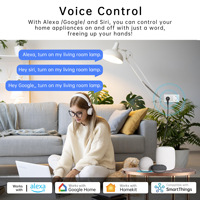 HomeKit SmartThings Fonctionne avec la prise de courant intelligente Siri Alexa Matter Smart WiFi Mini Socket