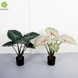 QIHAO - Plantas Artificiales de Hojas de Taro de 30 cm a 100 cm de Altura, Simulación Realista, Decoración de Interiores, Plantas Verdes en Maceta - Product Image 4