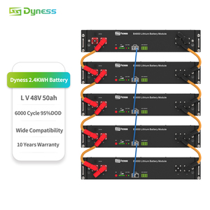 Sistema de Almacenamiento de Energía Doméstico <span class=keywords><strong>Dyness</strong></span> <span class=keywords><strong>B4850</strong></span> 2.4KWH 48V 50Ah con Batería de Iones de Litio y Paquete de Baterías LFP - Product Image 1