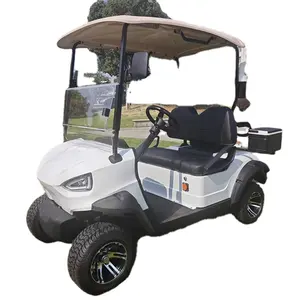 Promotion GCC Golf Cart Garage Door Electric Golf Cart Phone Holder CE 48v Golf Cart Battery