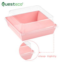 Boîtes d'emballage alimentaire jetables carrées en carton Questeco pour tranches de gâteau, couleur rose, couvercle transparent, origine Zhejiang, personnalisables