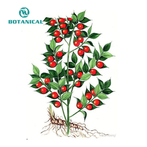 Chiết Xuất Từ Rễ Cây Ruscus Aculeatus Chất Lượng Cao/Chiết Xuất Từ Cây Chổi Đồ Tể Chiết Xuất Từ Cây Chổi Thảo Dược Giá Tốt Nhất Ruscogenin - Product Image 4