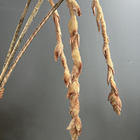 CC-938 Rumput Ekor Rubah Buatan (Artificial Pennisetum Setaceum) untuk Dekorasi Pernikahan dan Rumah