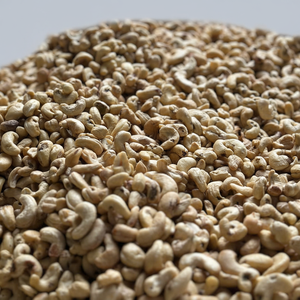 Noix de cajou de haute qualité d'origine vietnamienne Noix de cajou nutritionnelles de qualité W320 Crues et séchées Meilleurs prix pour la cuisson et les collations Utilisation en vrac - Product Image 1