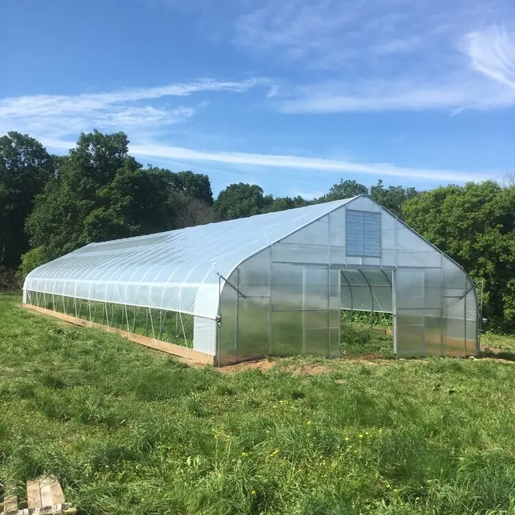 Industriale commerciale altre serre serra agricola in plastica per pomodori ad alto tunnel a campata singola