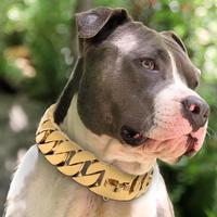 32mm Cuban Link Strong Metal Big Dog Chaîne Colliers En Acier Inoxydable Pet Training Collar Avec Boucle pour Grand Pitbull Bulldog