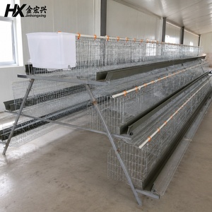 Système de cages à poules pondeuses entièrement automatiques, fourni par une usine chinoise, à <span class=keywords><strong>vendre</strong></span> - Product Image 6