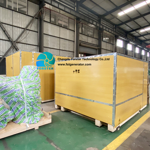 Générateur hydraulique de roue d'eau de turbine de tête basse de coureur d'acier inoxydable grand débit - Product Image 6