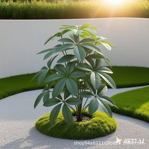 Hongsheng nhân tạo tiền cây Chậu cây nhựa lớn giả Bonsai lâu dài phòng khách sàn trang trí - Product Image 4