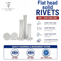 TianFang Rivets Pleins Tête Plate Acier Carbone Haute Traction Fixation Cadre Siège Tolérance ±0,05mm
