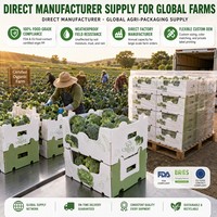 Caisse pliable en PP ondulé pour brocoli, empilable, pour légumes frais, avec système de refroidissement par eau, réutilisable, ventilée, emballage OEM