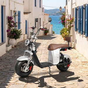 Scooter Eléctrico de Dos Ruedas 60v 20ah con Certificación Coc/eec, Superventas 2026, 2000w/1000w, Impermeable, 60km/h, para Adultos, 200kg, X26, Precio - Product Image 1