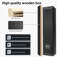 Système de sonorisation professionnel DS50 100 Watts, enceintes colonne 100w pour DJ, prix d'usine