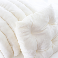 Nouveau Lit pour Chat Personnalisé en Forme de Trou d'Arbre, Doux et Chaud, en Peluche, avec Coussin en Coton PP, Robuste, OEM ODM, Protection Optimale