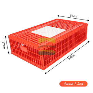 Jaulas de Transporte para Aves de Corral de Plástico de Alta Calidad para Granjas, Caja de Transporte para <span class=keywords><strong>Pollos</strong></span>, Jaula de Transporte - Product Image 5