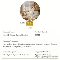 Diffuseur à roseaux miniature 50 ml, flacon en verre, sans alcool, huile essentielle d'aromathérapie pour la maison, la chambre, l'hôtel, parfum d'ambiance