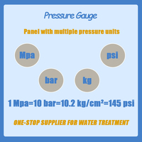 High Pressure Meter Gauge Portable Pressure Gauge 200 Bar with Lowest Price