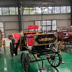 Voiturette électrique rétro noire en acier, style calèche, à roues, pour visites en extérieur, parcs et mariages, à vendre - Product Image 1