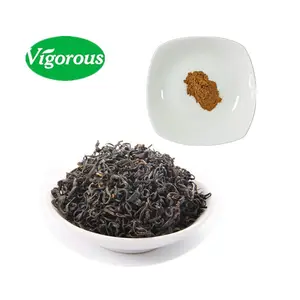 Boissons alcoolisées camélia organiques, extrait de thé noir instantané, sans échantillons