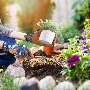 Gants de jardinage en cuir pour femmes, anti-épines, fleurs de rose, pour l'élagage, le déterrage et la plantation - Product Image 5