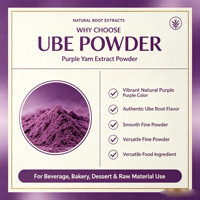 Poudre d'igname violette UBE biologique en vrac de haute qualité, poudre d'herbes à prix imbattable