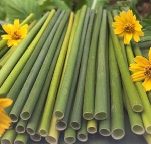 <b>GRASS</b> STRAW VIETNAM - Product Image 6