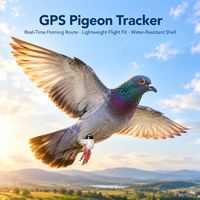 Traceur GPS pour pigeons à faible MOQ, commande d'échantillon, localisateur pour importateurs débutants avec lot d'essai de cinq pièces et échantillonnage rapide
