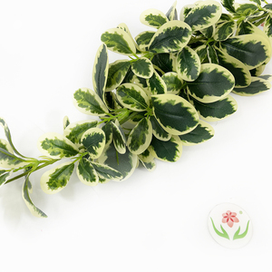 Feuilles de plantes vertes artificielles, Création de plantes vertes d'ingénierie extérieure, Plantes vertes de la <span class=keywords><strong>série</strong></span> Scenic Forest - Product Image 5