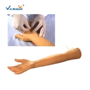 Modè<span class=keywords><strong>le</strong></span> de formation avancé en PVC pour la ponction veineuse chez les personnes âgées - Bras médical scientifique pour la formation des infirmières et des écoles - Product Image 2