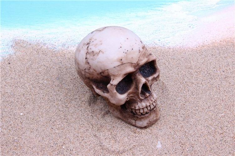 หัวกะโหลก10.5*7*8.5ซม.