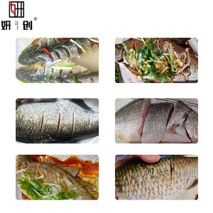 Nieuw type elektrische schubbenverwijderaar voor vis met afdekking, binnenstaartverwijderaar, trommeltype schubbenverwijderaar - Product Image 2