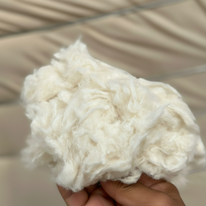 Coton blanchi et fibres de peignoir provenant d'un usine textile à prix négociable et de haute qualité pour la fabrication de laine et de fil de coton - Florence - Product Image 1