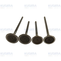 Soupape d'admission et d'échappement de moteur automobile d'usine pour Audi A8 W12 6.0 022109601E 022109601F 022109611B 022109611C