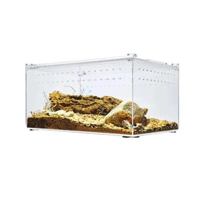 Cage de terrarium de boîte d'élevage de reptiles plats de grande enceinte acrylique pour insectes tarentules amphibiens