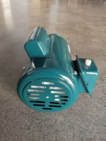 Moteur monophasé NEMA WAYLEAD 0,75 CV, cadre 56, TEFC, 115/230 V, 60 Hz, montage sur pied, 1750 tr/min, asynchrone AC, efficacité IE2