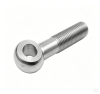 Boulon à œillet en acier inoxydable 304/316 finition brute, filetage M8, longueur 55 mm, DIN944, tête à joint lâche, boulon de levage à œillet pivotant