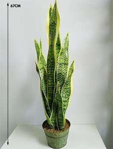 <span class=keywords><strong>ต้นไม้</strong></span>ในกระถางทำด้วยมือพืช<span class=keywords><strong>งู</strong></span>เทียมสำหรับตกแต่งบ้านในร่มกลางแจ้งสำนักงาน - Product Image 2