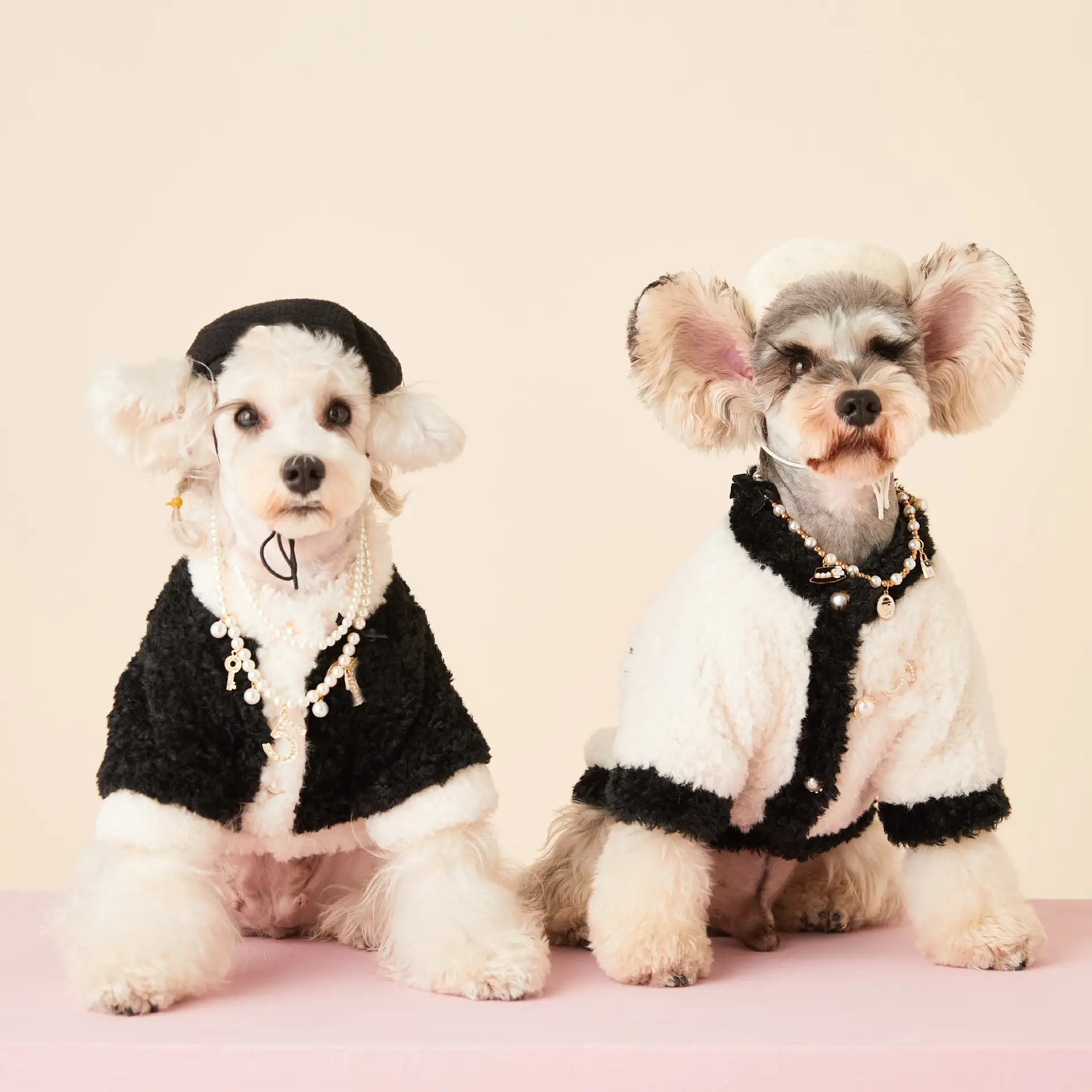 Hot Sale Popular Dog Clothes Autumn and Winter Luxury Coat Teddy White Thick Dog Coat Fashion Style Pet Clothes