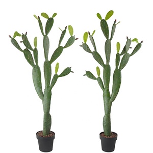 Plante artificielle de figuier-de-Inde avec <span class=keywords><strong>pot</strong></span> pour la décoration de la maison et du bureau - Product Image 5
