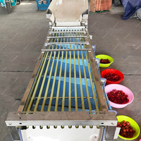 Automatische Maat Sortering Transportband Fruit Grader Orbitale Grootte Nion Sorteerder Machine Aardappel Sorteermachine Bosbessen Sorteermachine