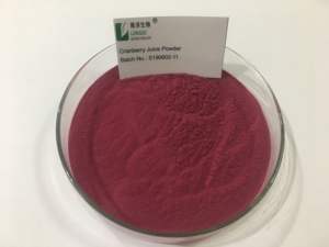 Fornitura di fabbrica estratto di mirtillo rosso in polvere 40% PACS (proantocianidine) - Product Image 4
