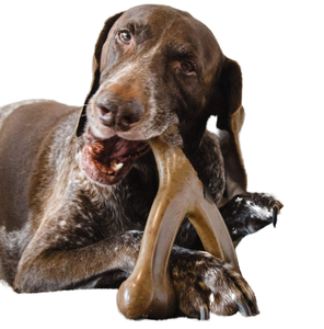 Eco-friendly Non tossico cane masticare osso giocattolo duro colore cioccolato in Nylon per la pulizia dei denti giocattoli per cani - Product Image 1