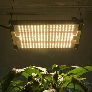 2023 wasserdichte King Brite LED 120w Samsung lm301H mit 660nm MW XLG Treiber LED Grow Light