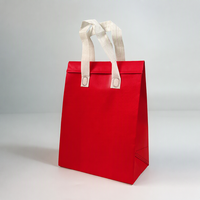 Sac isotherme personnalisé en tissu non tissé écologique avec doublure en aluminium, résistant à l'eau, pour l'emballage des aliments et des boissons
