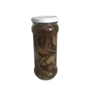 China canned shiitake mushrooma marinated with low price of fancy quality