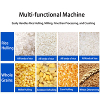 Machine à décortiquer le riz blanc et brun, machine à riz multifonctionnelle combinée, machine de classement du riz avec roulement à rouleaux