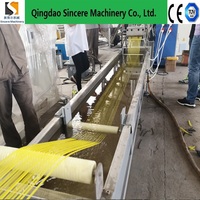 Ligne de granulation de plastique, machine de granulation de plastique, extrudeuse à double vis, machine de granulation de plastique recyclé PP HDPE PVC